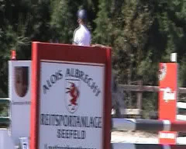 Video of Pablo's Boy