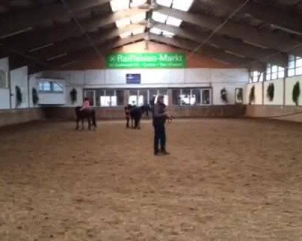 Video von Cermatt BE