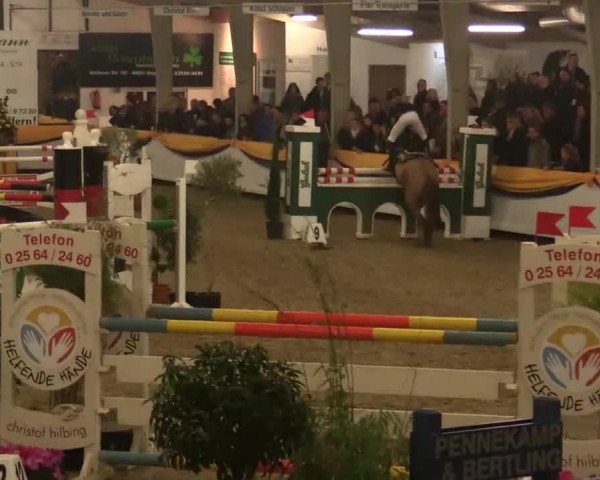 Vreden 2014
09 Pony-Zwei-Phasen-Springprfung K M*