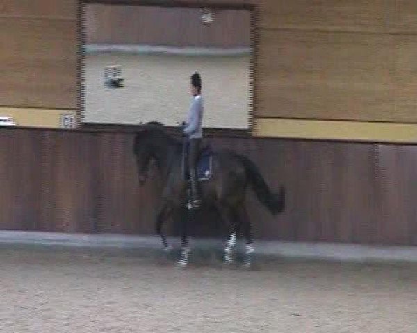 Video of Pablo's Boy