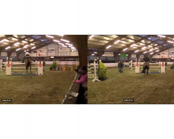 Video of Sambucca 13
