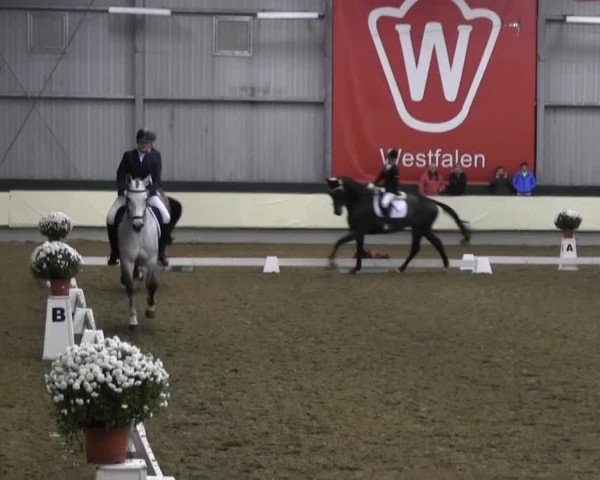 Video von Lea, Caruso 365, Crescendo 46