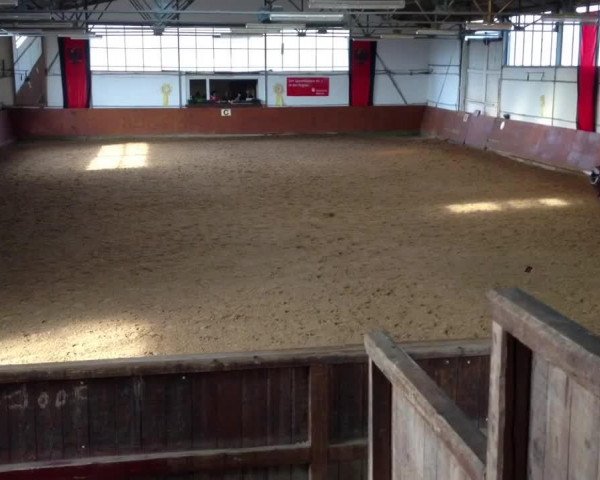Video of Staccato