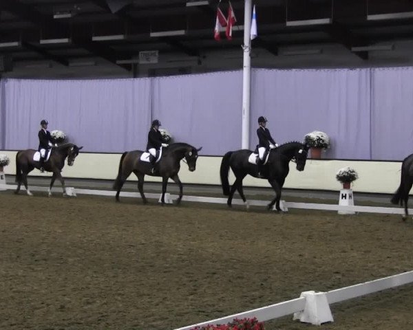 Video of Lunatic, Wenice 8, Prinz Pius