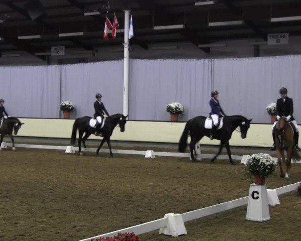 Video von Prinz S.W., Rock Star 14, Aperol 7