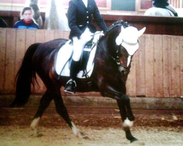horse Rivale 45 (unknown, 2003, from Renoir)