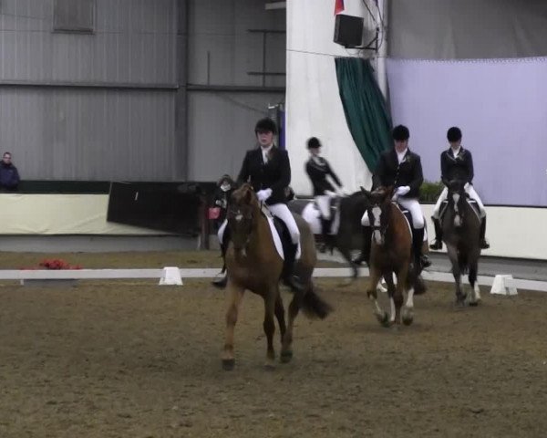 Video von Royal Gustav, Amitie K, A Little Dream K