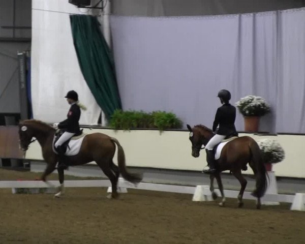 Video of Dunja 973