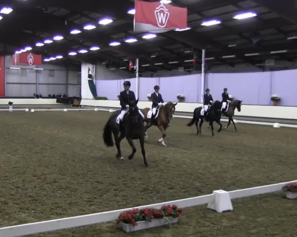 Video von Donna 481, Rockhampton 2, Lugata 2