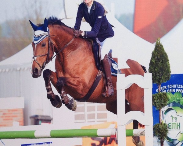 broodmare Lacrimosa 7 (German Warmblood, 2002, from Lieber Boy)
