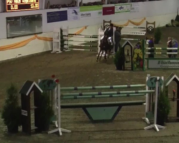 16. Legdener Pony-Meeting