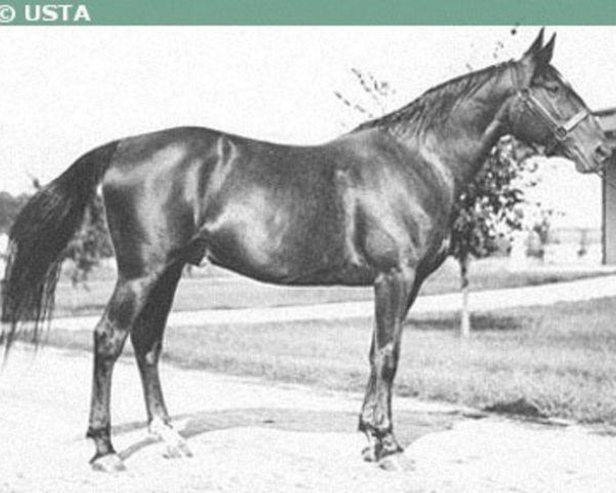 Deckhengst Peter the Brewer 67700 (US) (Amerikanischer Traber, 1918, von Peter the Great 28955 (US))