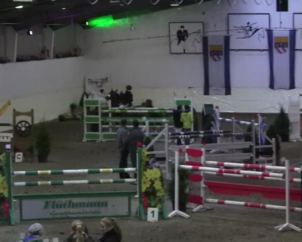 16. Legdener Pony-Meeting