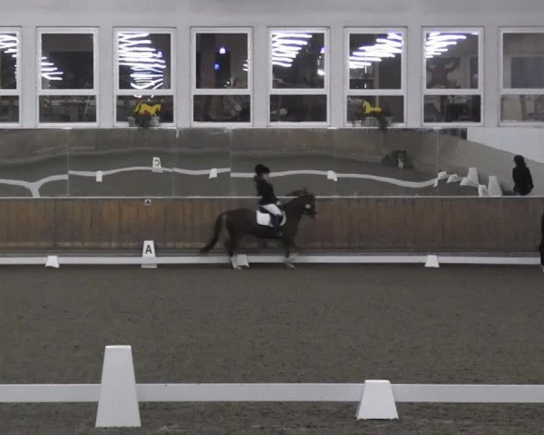 Video of Pumuckel, Cinzano Bianco