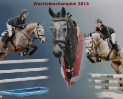 jumper Cooper One B (Westphalian, 2009, from Cornado NRW)