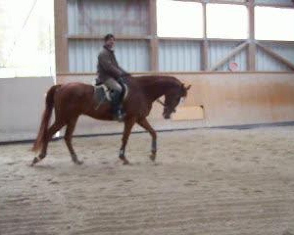 Video von Lord Sundancer