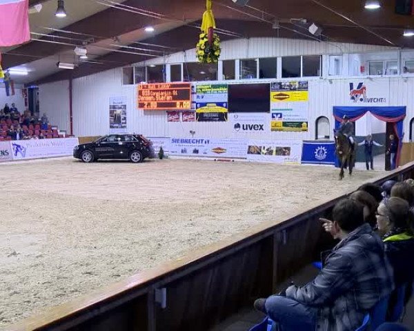 11. Hallen-Championat Vechta 2013 26.10.2013
13 Mächtigkeits- Springprüfung Kl.S*