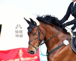 broodmare Lupicora (Rhinelander, 2004, from Lupicor)