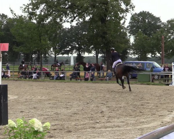 Reitturnier Haltern am See 2021