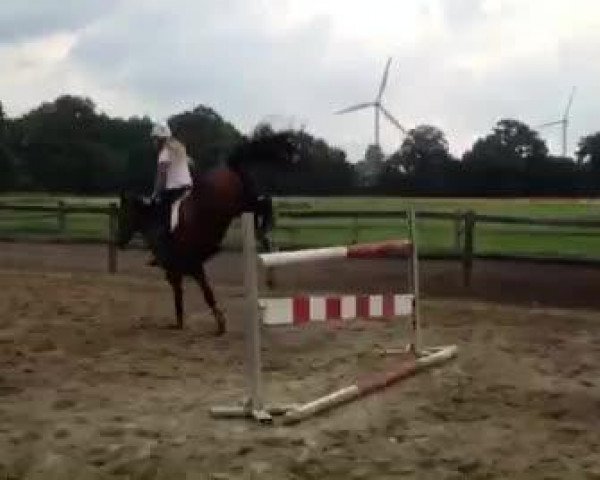 Video von Colina