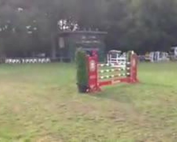 Video von Colina