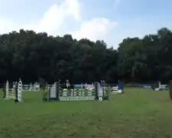 Video von Colina