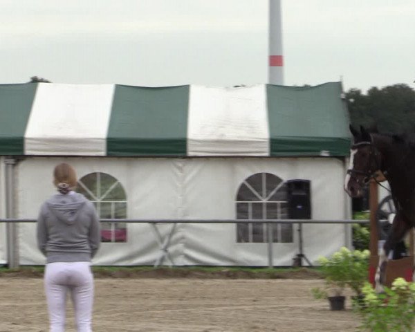 Reitturnier Haltern am See 2021