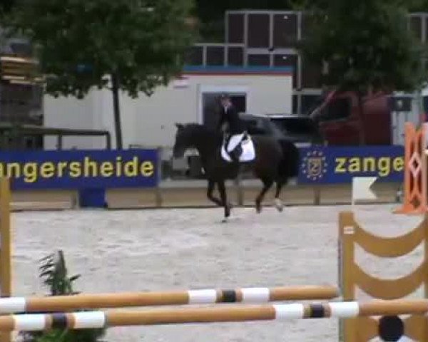 Video von Nemesis 11