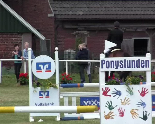 Reit- und Springturnier am 15.-16.06.2013 in Hamminkeln-Dingden