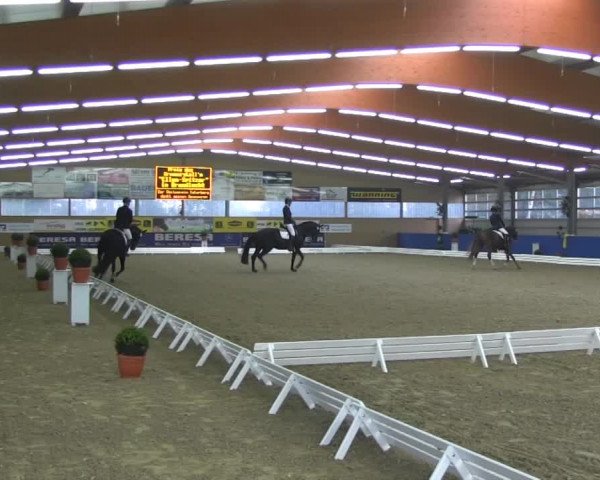 Video di Lavinia B, Shalimar 94