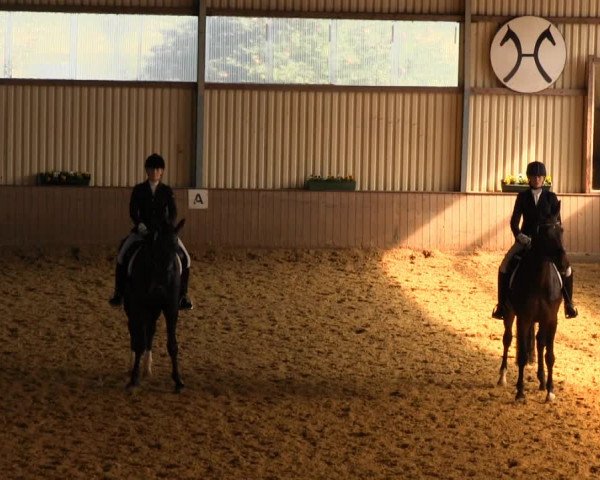 Reitstall Brinkmann 2013