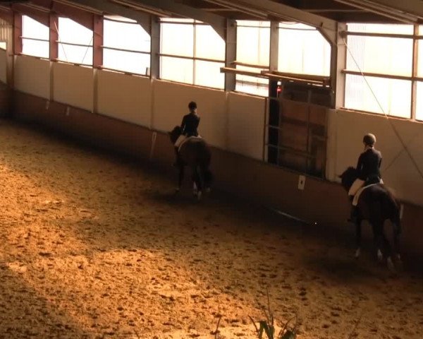 Video von Faye 27
