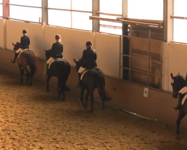 Video of Dolce Vita 119, Fanta Sie, Estrella 86