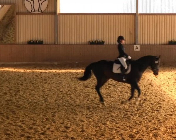 Video of Lafayette 173, High Society, Mazur 4