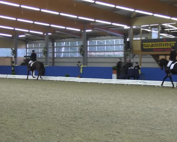 Video von Fiderprinz 2