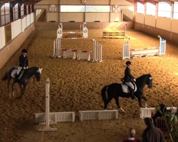 Video von Stukhuster Vitalis