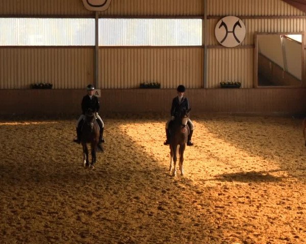 Video of Nachero, Malik 13, Mastro's Salivan