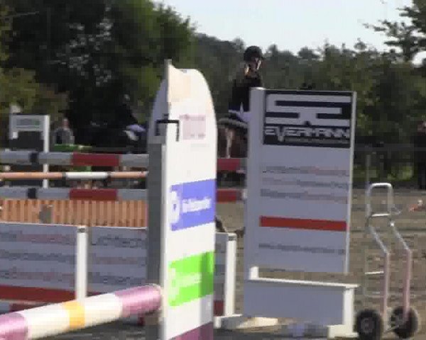 Reitstall Brinkmann 2013