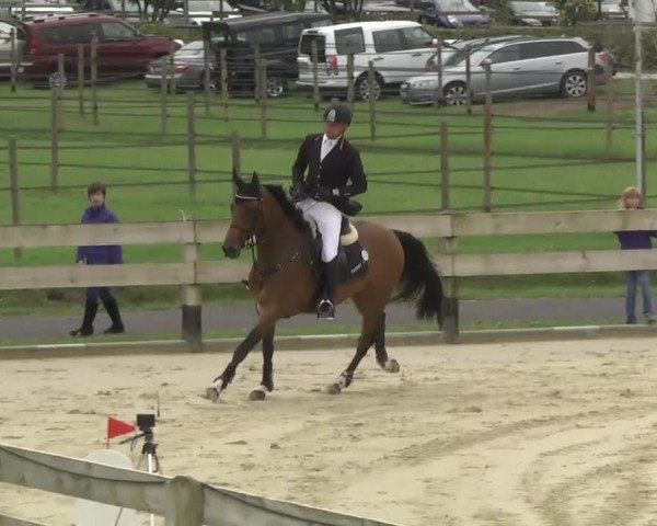 Springturnier Hubertushof RSG Linkenheim-Hochstetten 2013