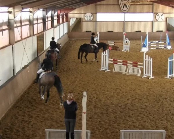 Video of Caramia 19, Casperado 2