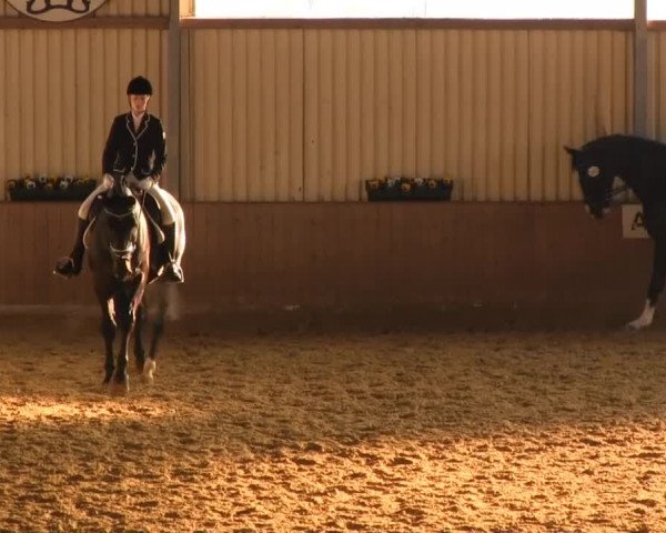Video of Louisiana Lady 5, Geronimo, Perfect Look