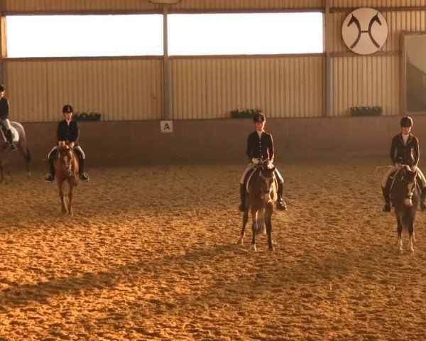Video von Stukhuster Vitalis, Laura Biagotti 3, Malik 13