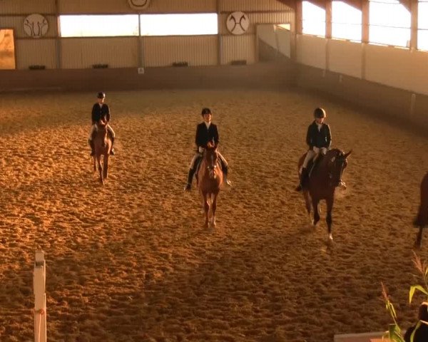 Video of Jacky Boy 2, Donovan 114