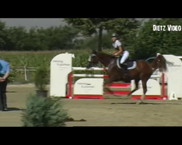 Video von Honey