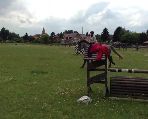 Video of Limerick H 2
