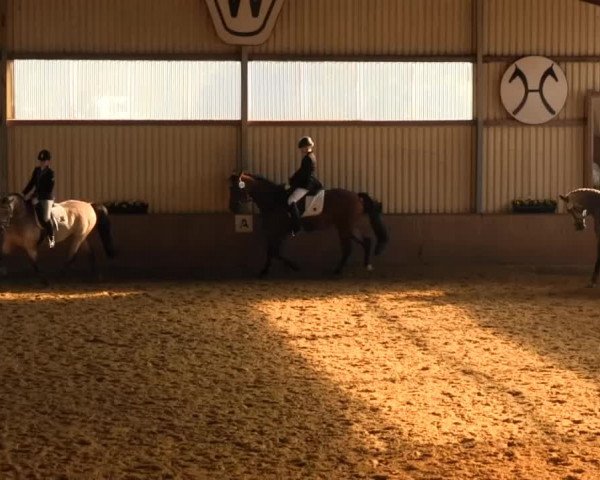 Video of Cherry On Top, Ams Belle Fleur D, Bella Flora