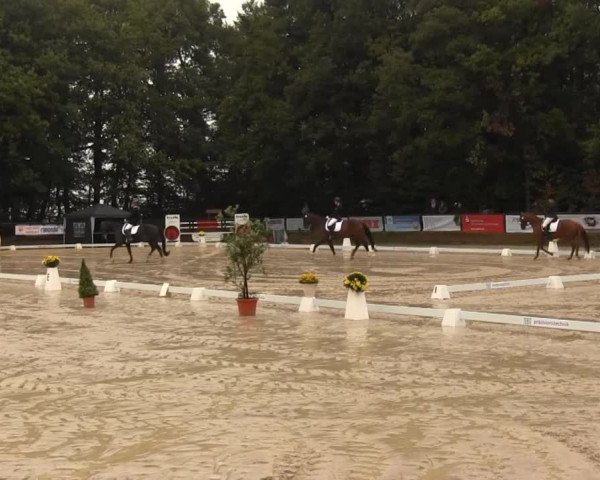 Video von Marry Poppins 4, Rubino Royal