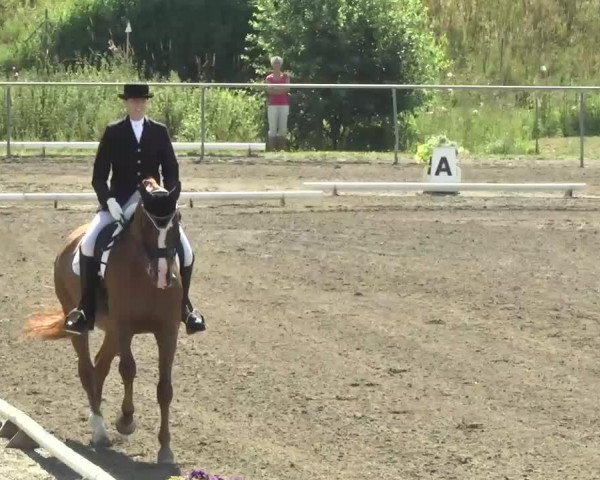 Leutkirch-Haid 2013