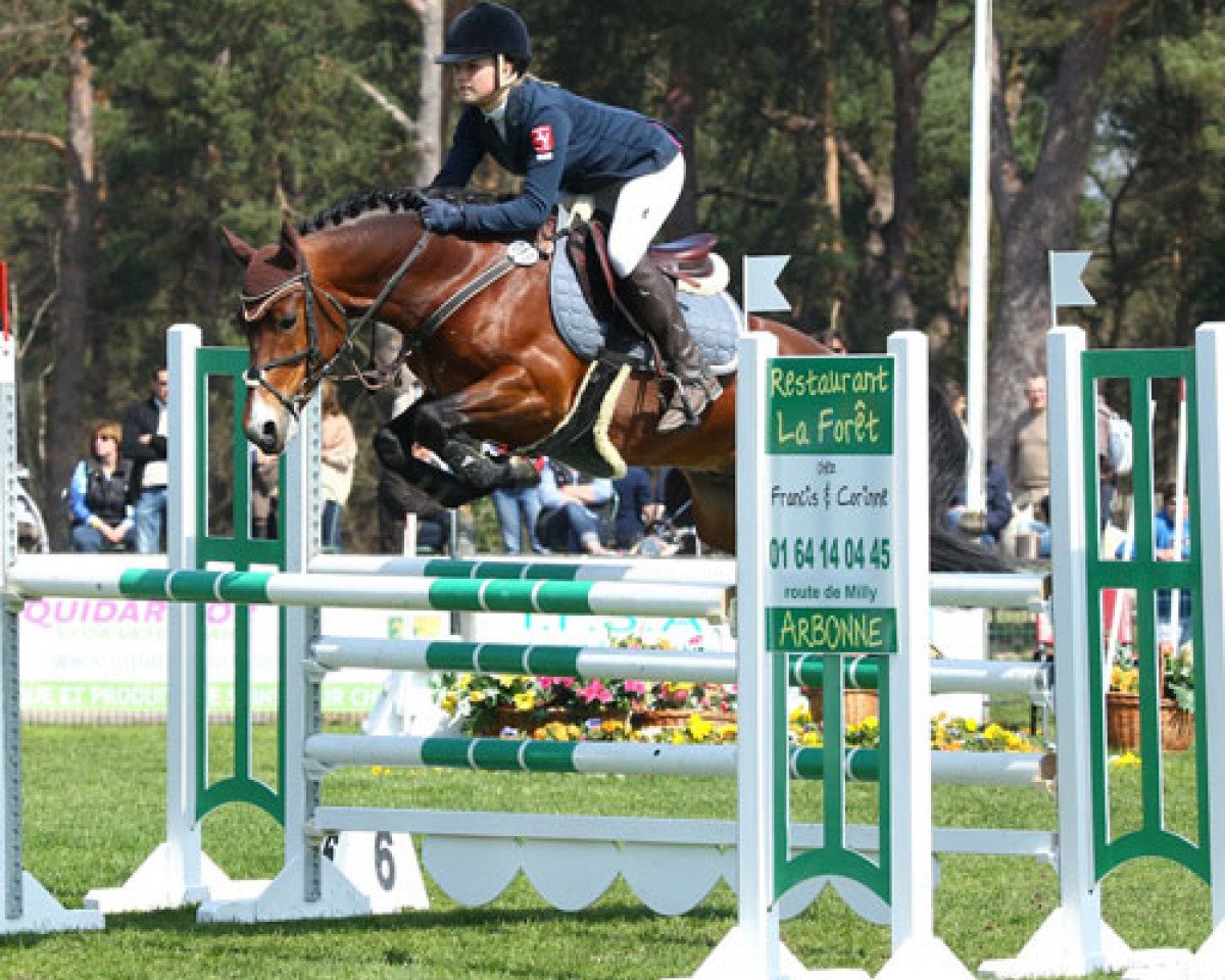 stallion Makuna Matata WE (German Riding Pony, 2007, from Machno Carwyn)