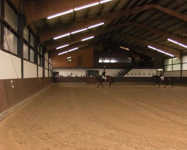Video of Lorbas 235